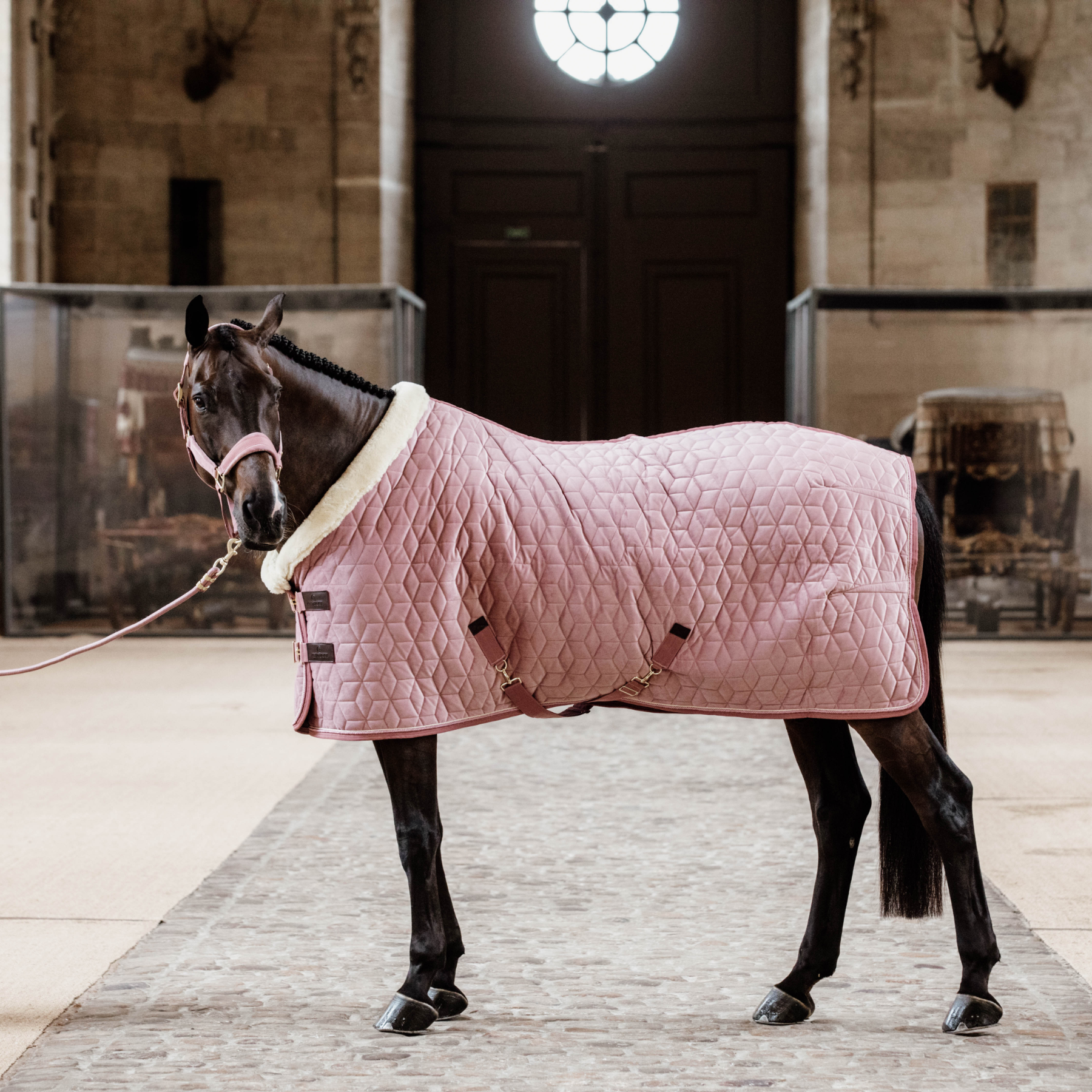 Kentucky Horsewear Velvet Halter, Old Rose