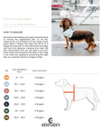 Kentucky Dog Harness Body Safe Wool, Light Blue