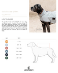 Kentucky Dog Rain Coat, Dusty Blue