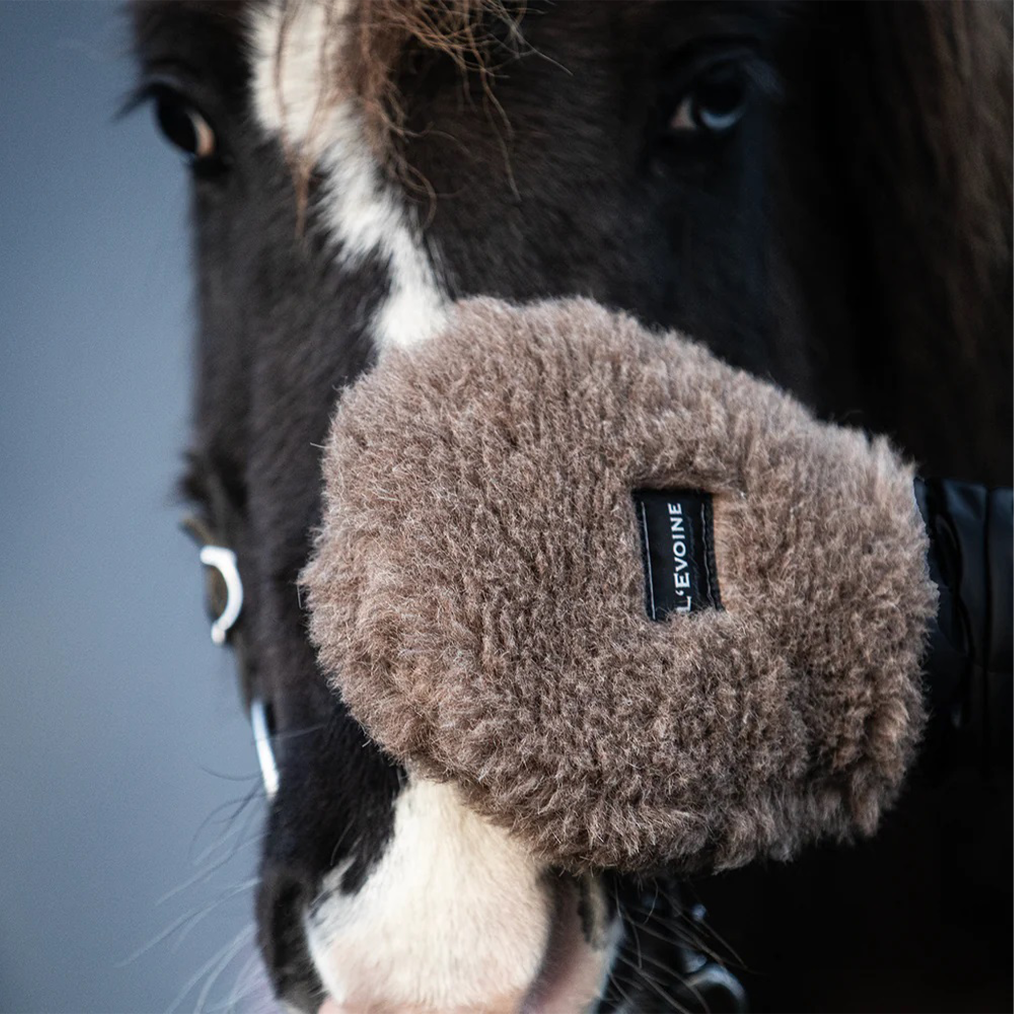 L'Evoine Alpaca Care Glove