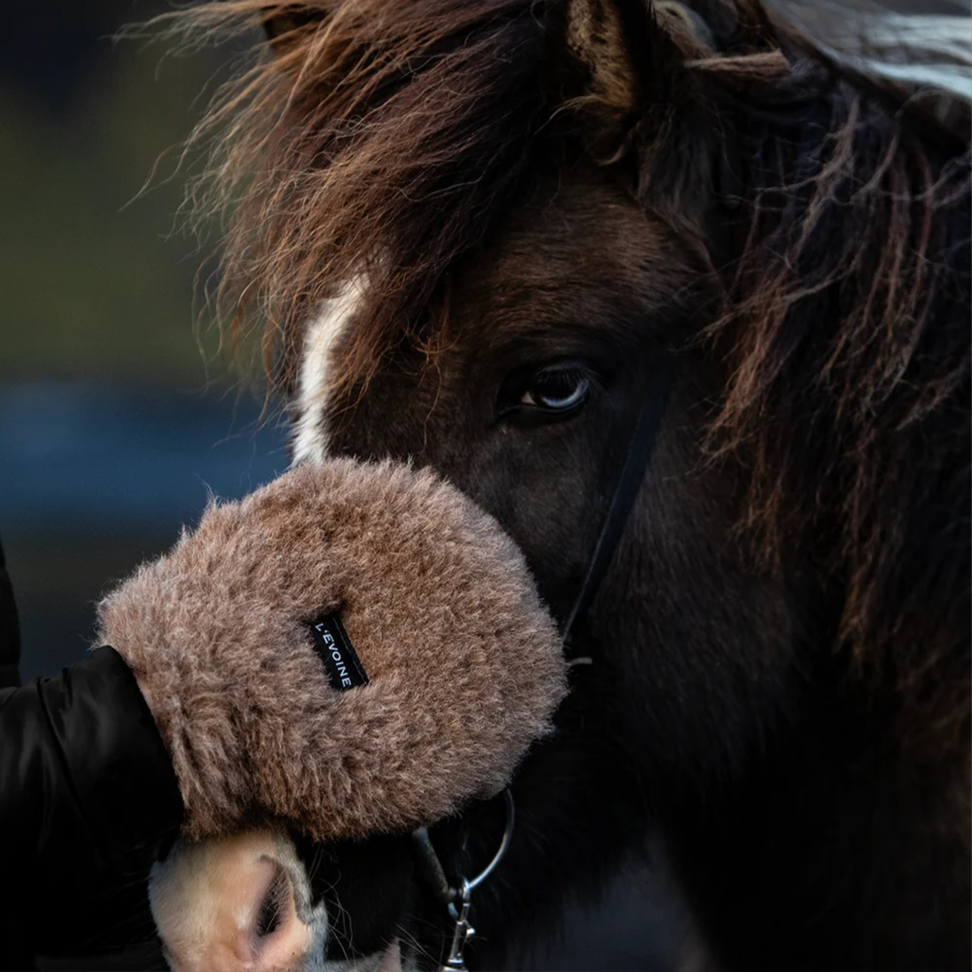L'Evoine Alpaca Care Glove