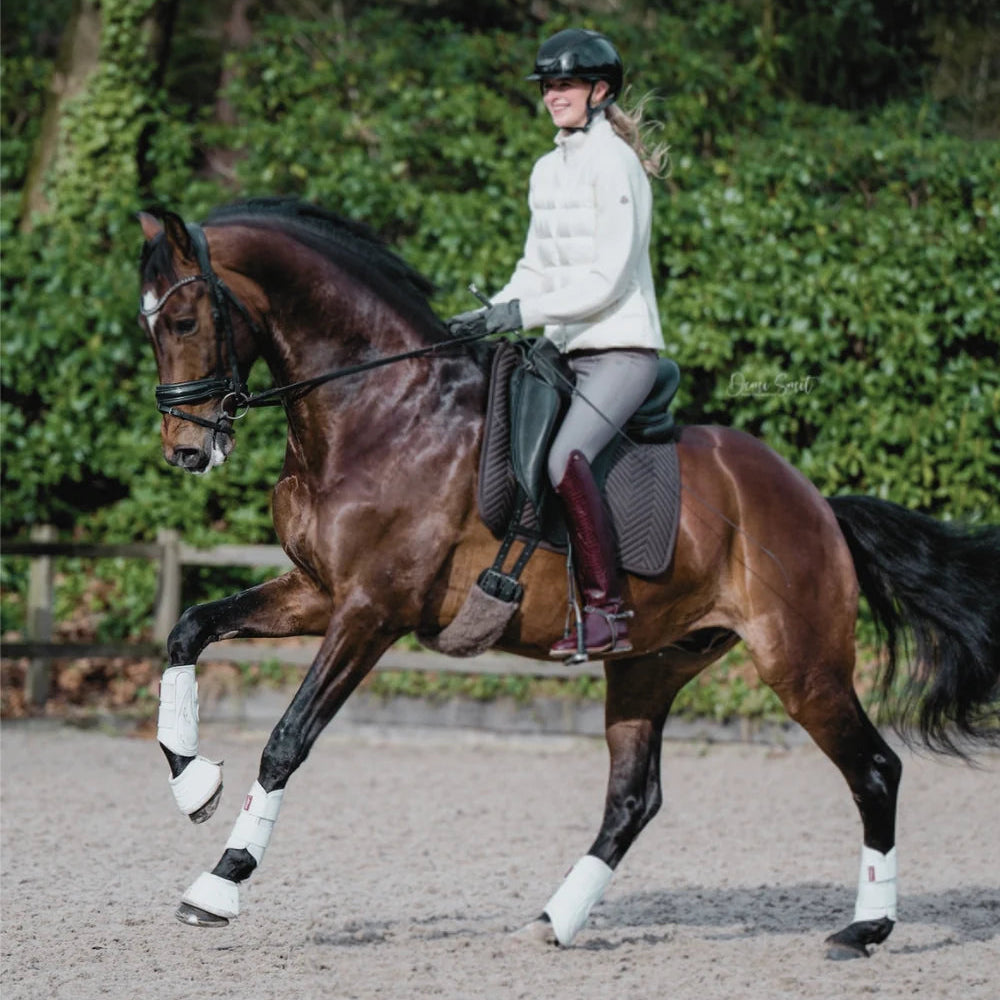 L'Evoine Alpaca Dressage Saddle Pad, Espresso