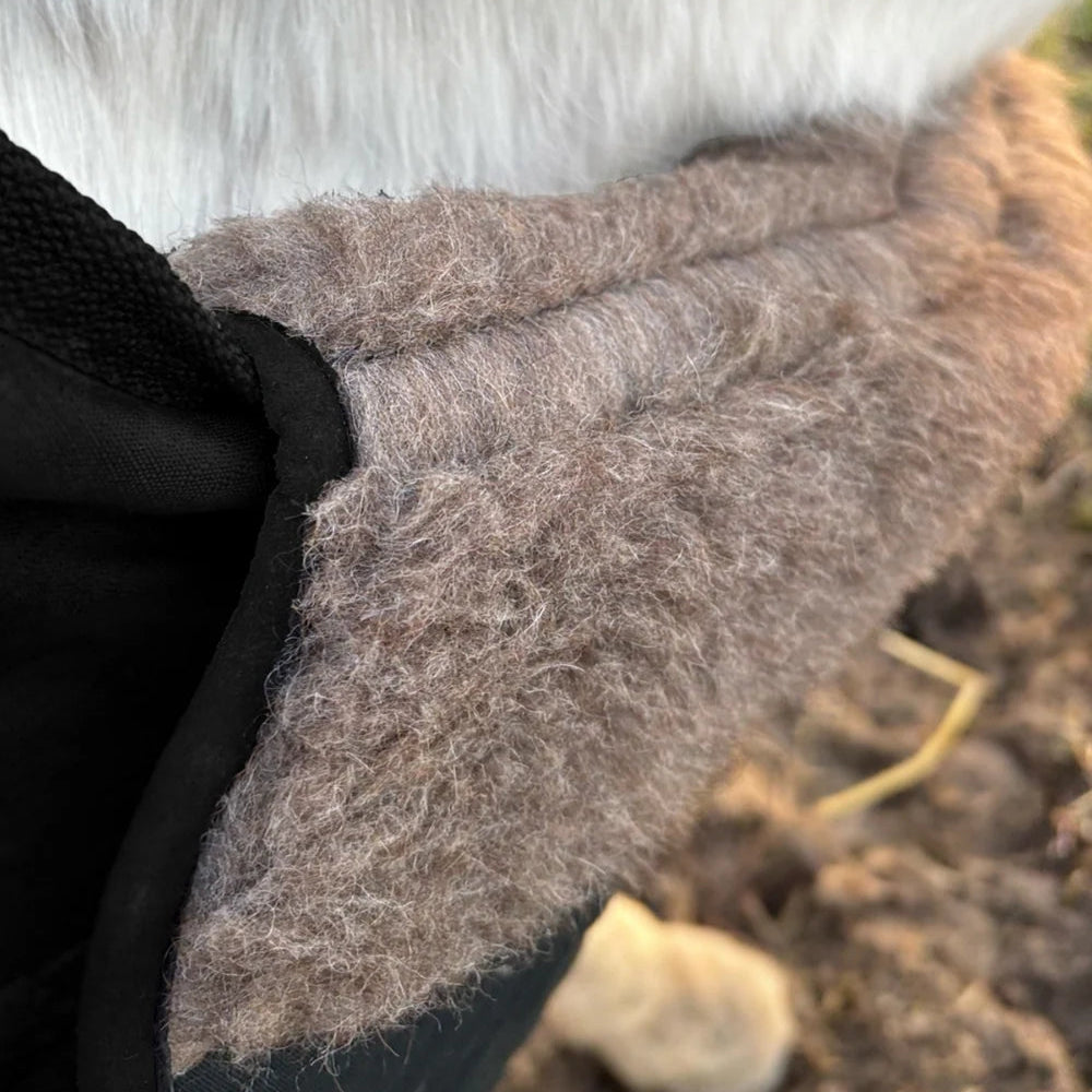 L'Evoine Alpaca Chest Protector