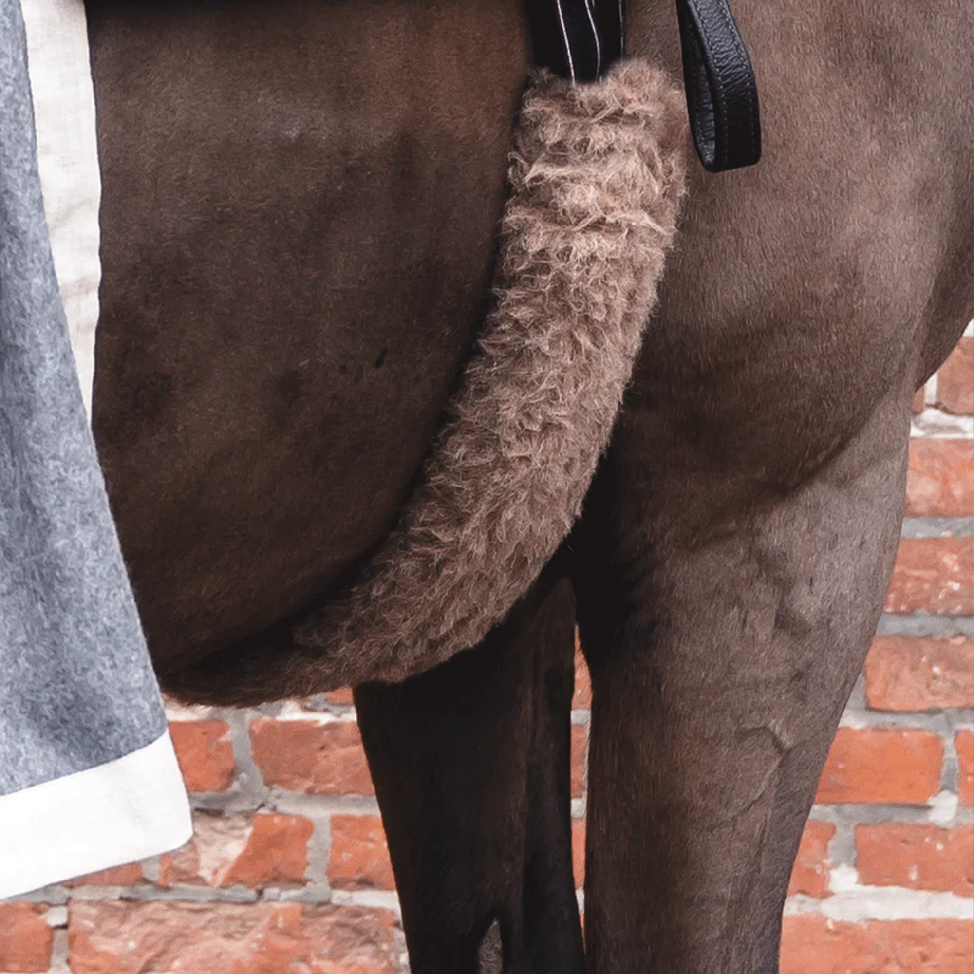 L'Evoine Alpaca Girth Protector