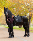 LeMieux Essence Dressage Saddle Pad, Black