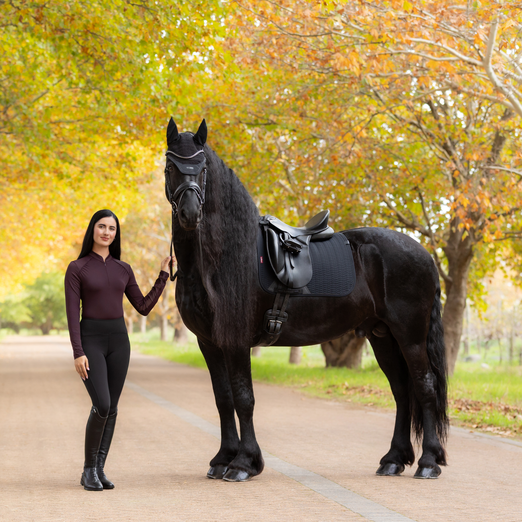 LeMieux Finesse Dressage Saddle Pad, Black