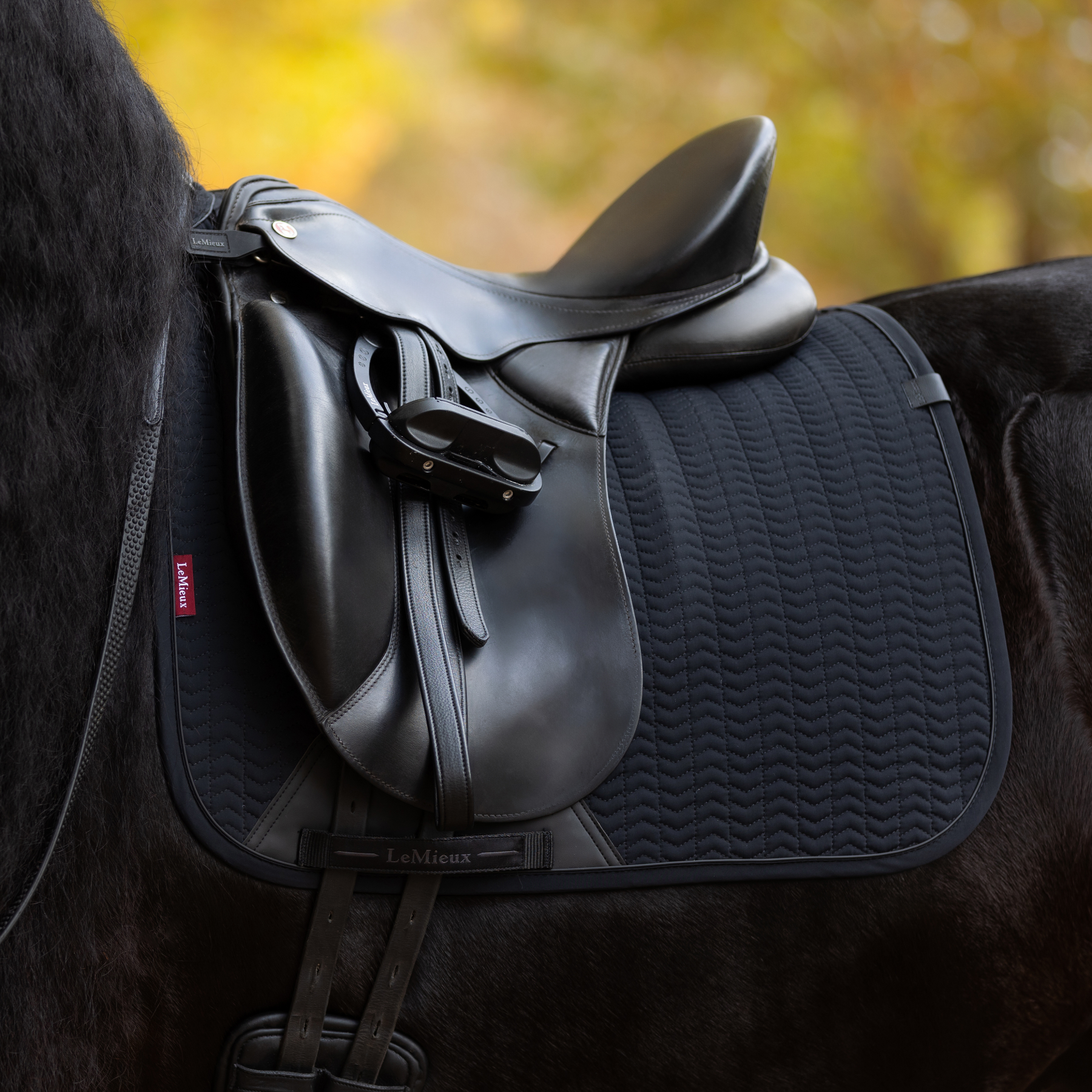 LeMieux Finesse Dressage Saddle Pad, Black