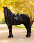 LeMieux Finesse Dressage Saddle Pad, Black
