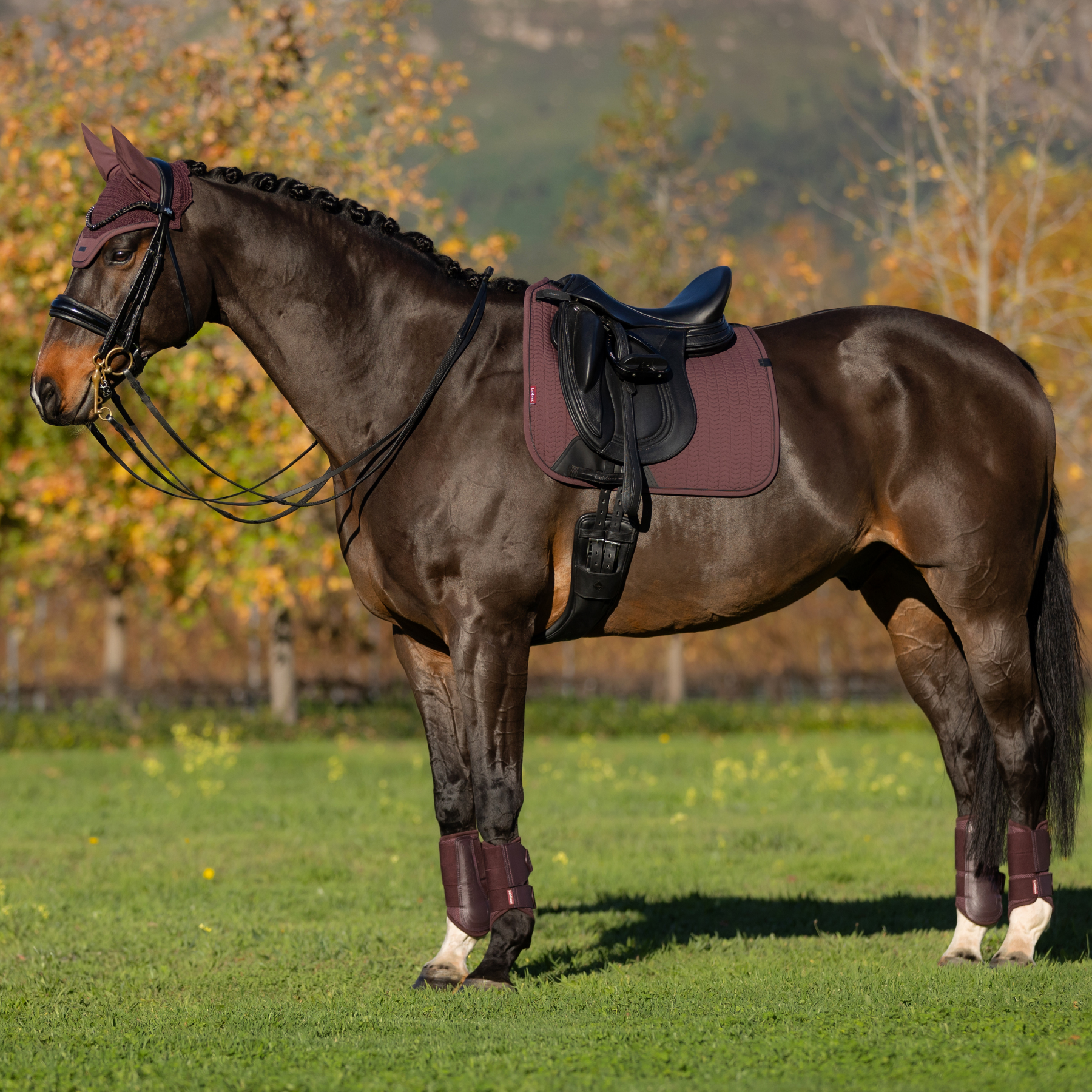 LeMieux Finesse Dressage Saddle Pad, Damson
