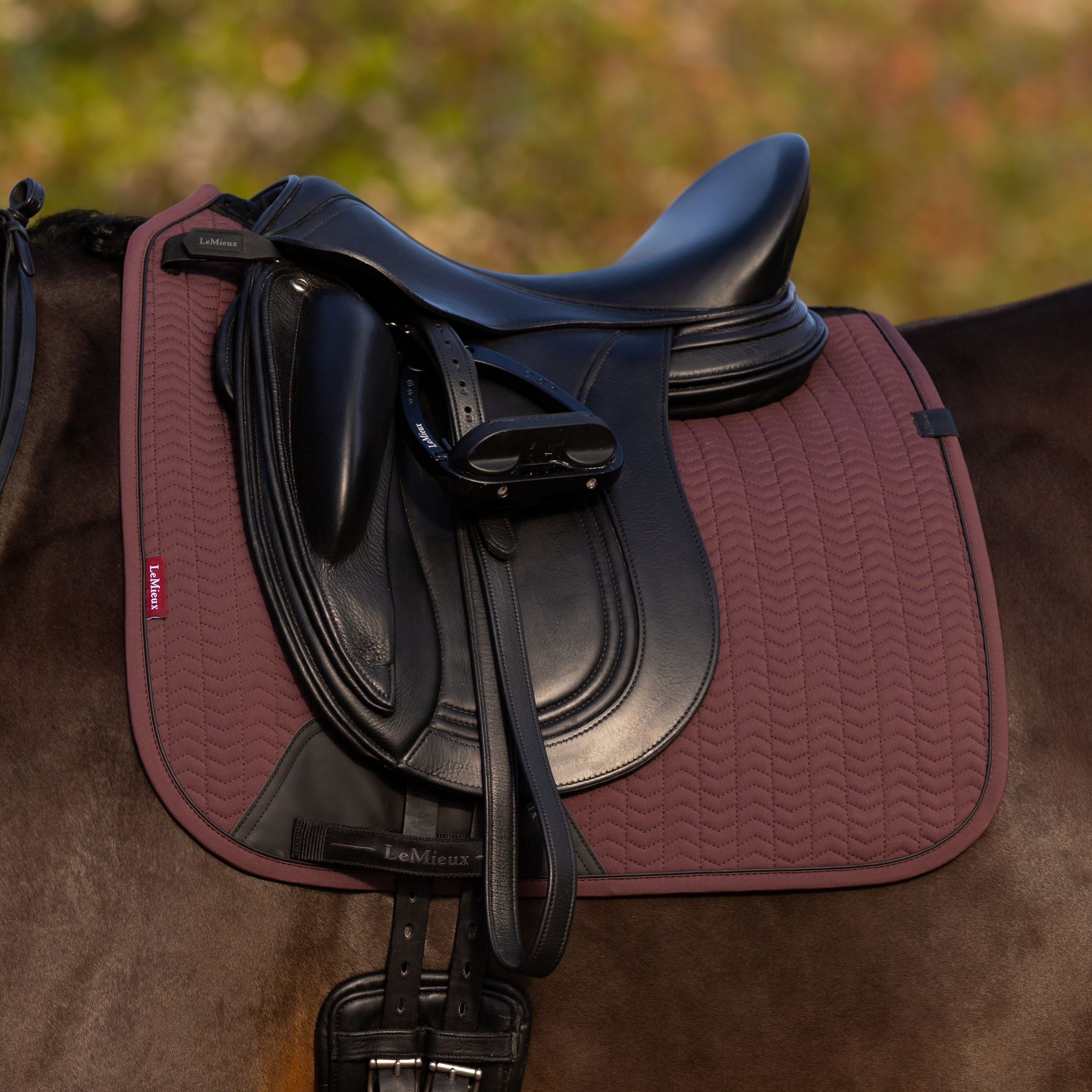 LeMieux Finesse Dressage Saddle Pad, Damson