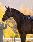 LeMieux Finesse EuroJump Saddle Pad, Damson