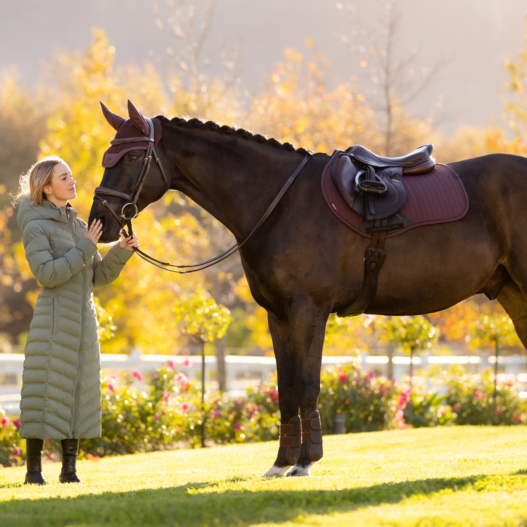 LeMieux Finesse EuroJump Saddle Pad, Damson