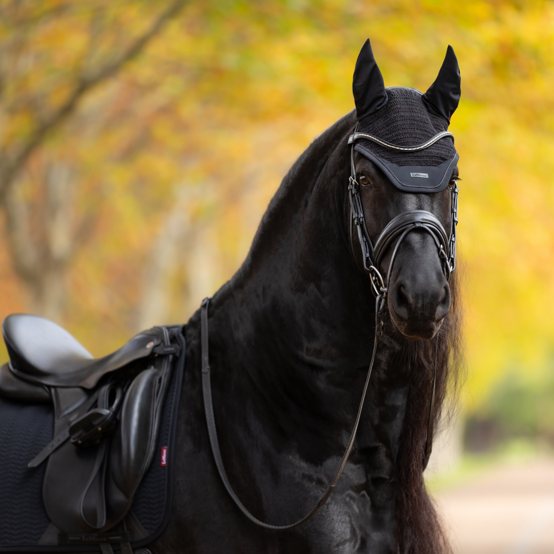 LeMieux Finesse Fly Hood, Black