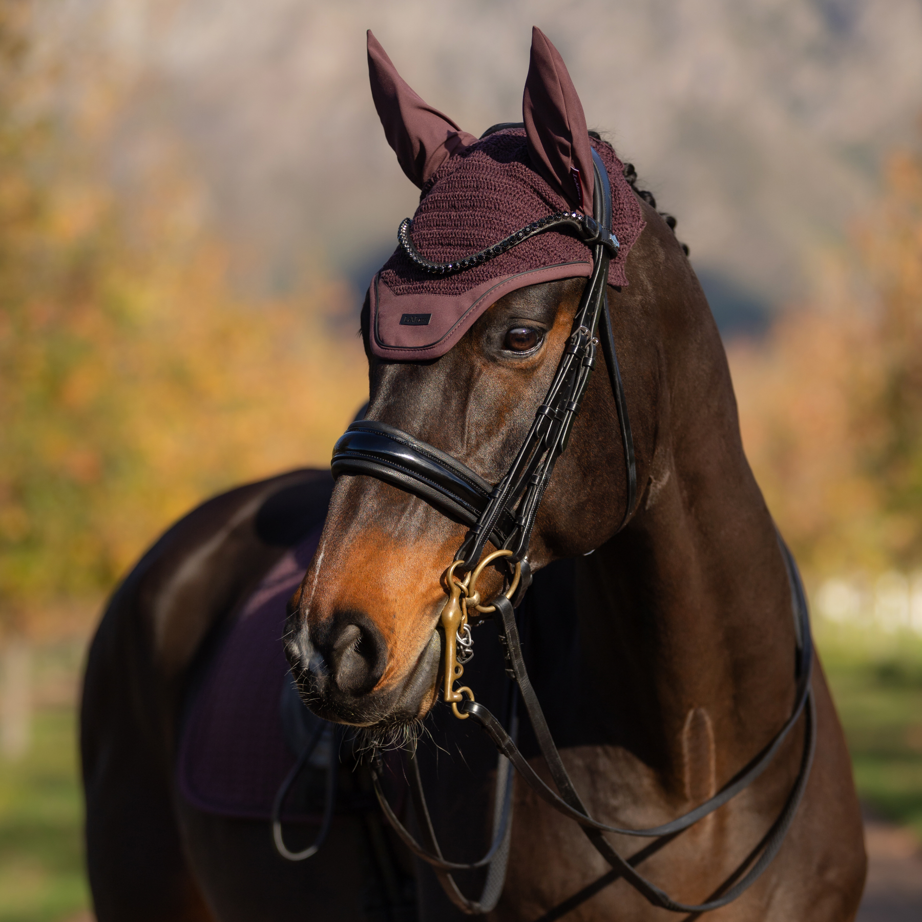 LeMieux Finesse Fly Hood, Damson