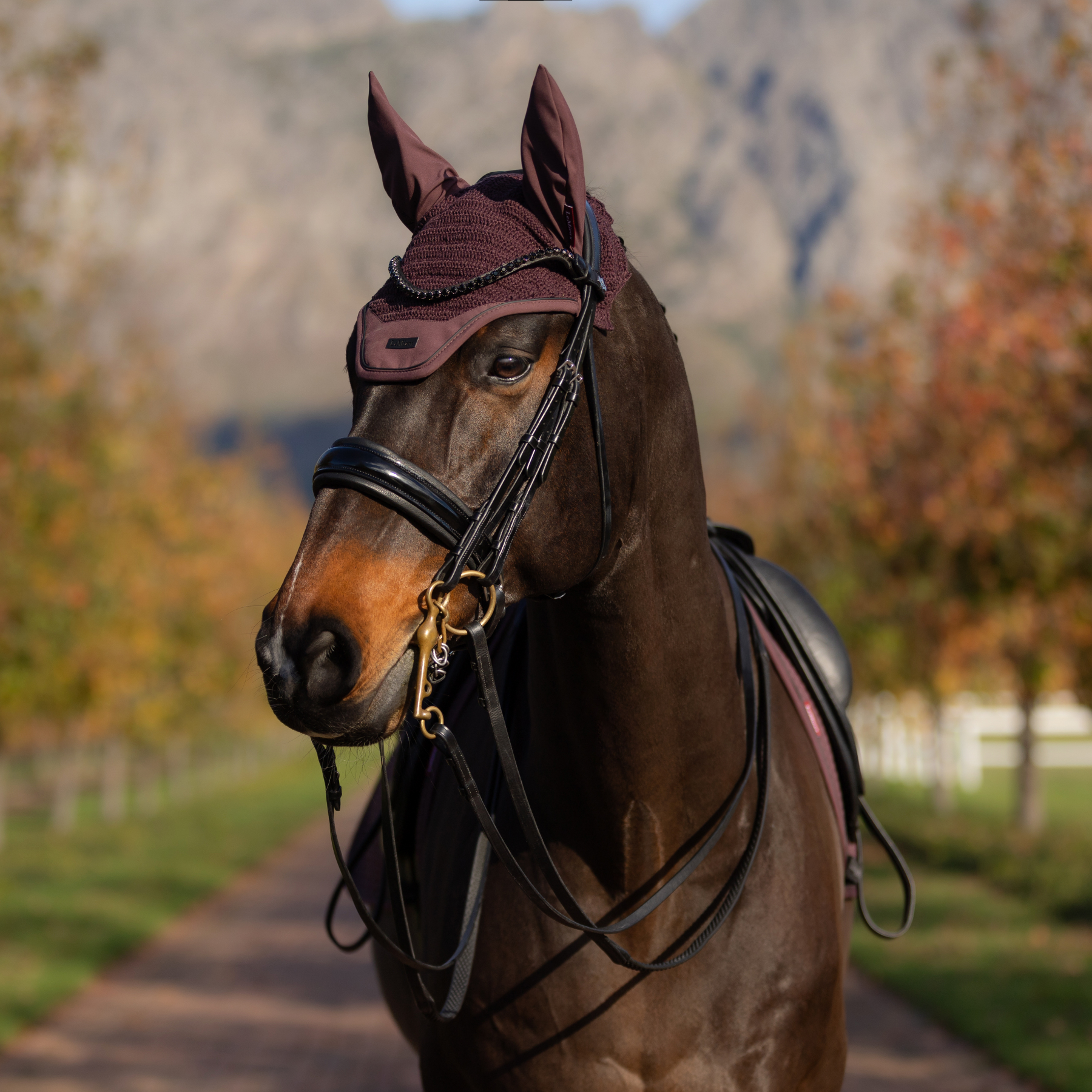 LeMieux Finesse Fly Hood, Damson