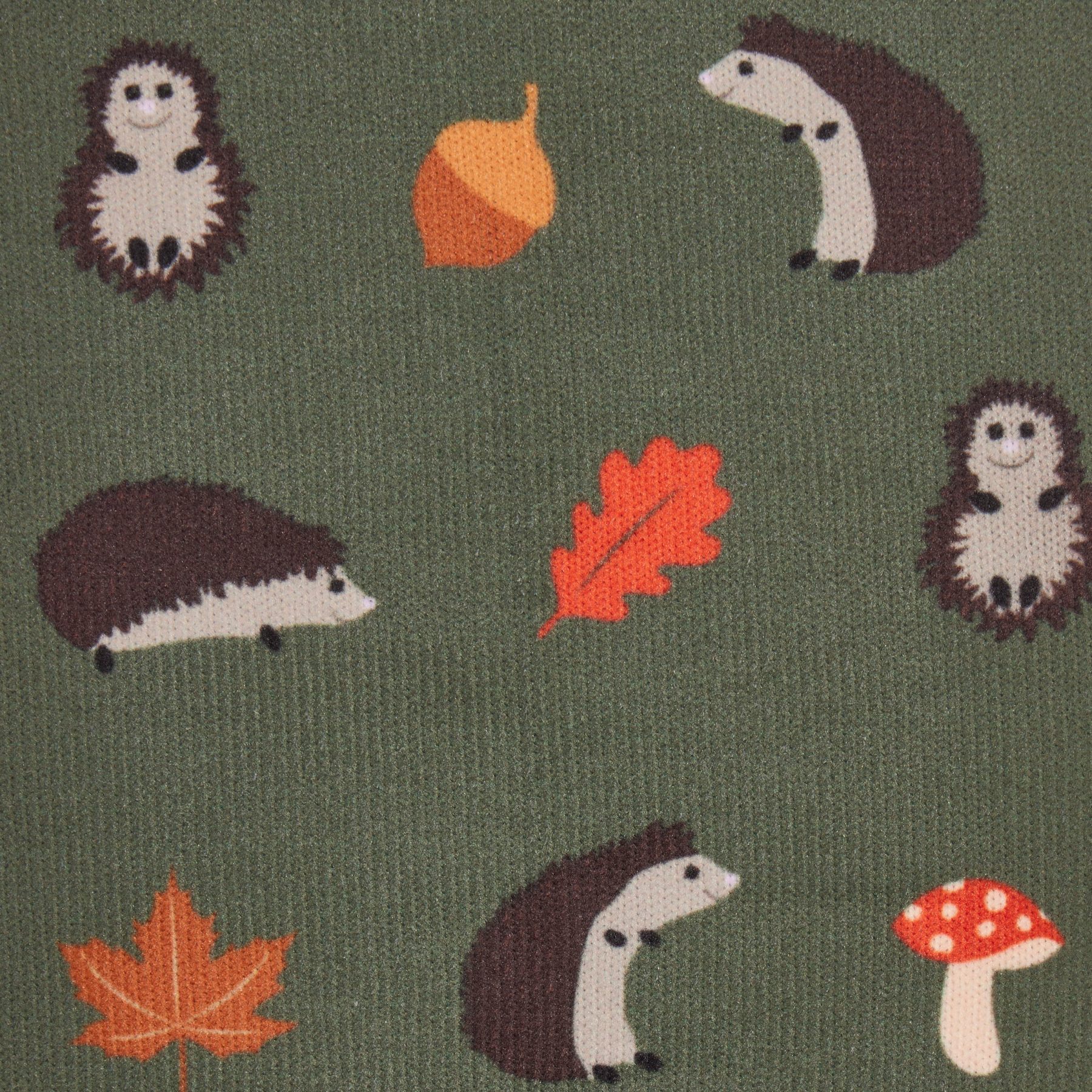 LeMieux Footsie Socks, Hedgehogs