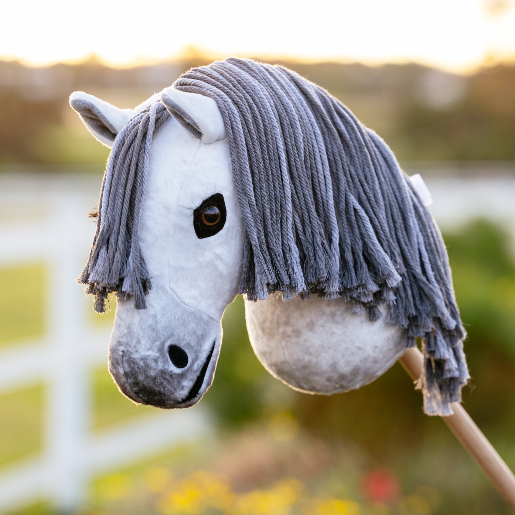 LeMieux Hobby Horse Earl