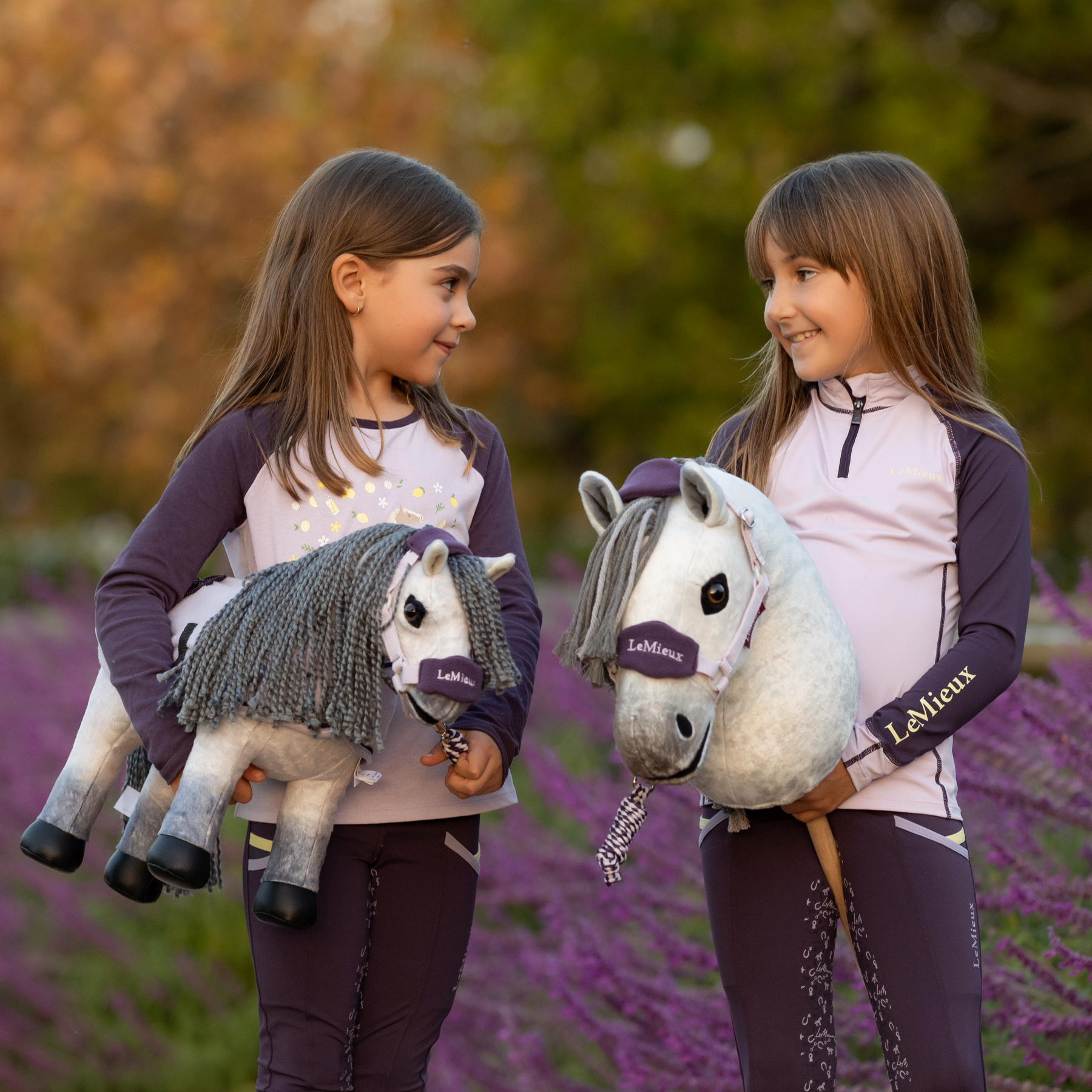 LeMieux Hobby Horse Earl