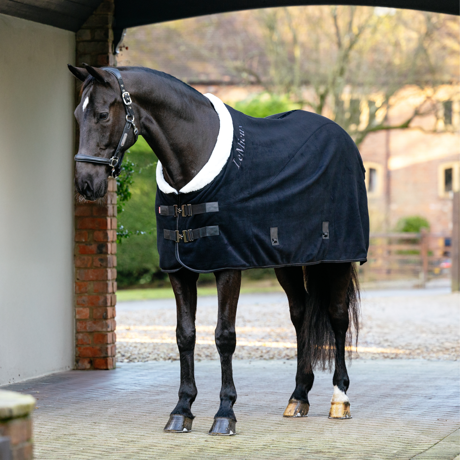LeMieux Kudos Luxe Fleece Rug, Black