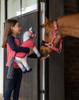 LeMieux Toy Pony, Blanca