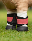 LeMieux Toy Pony Grafter Boots, Cranberry