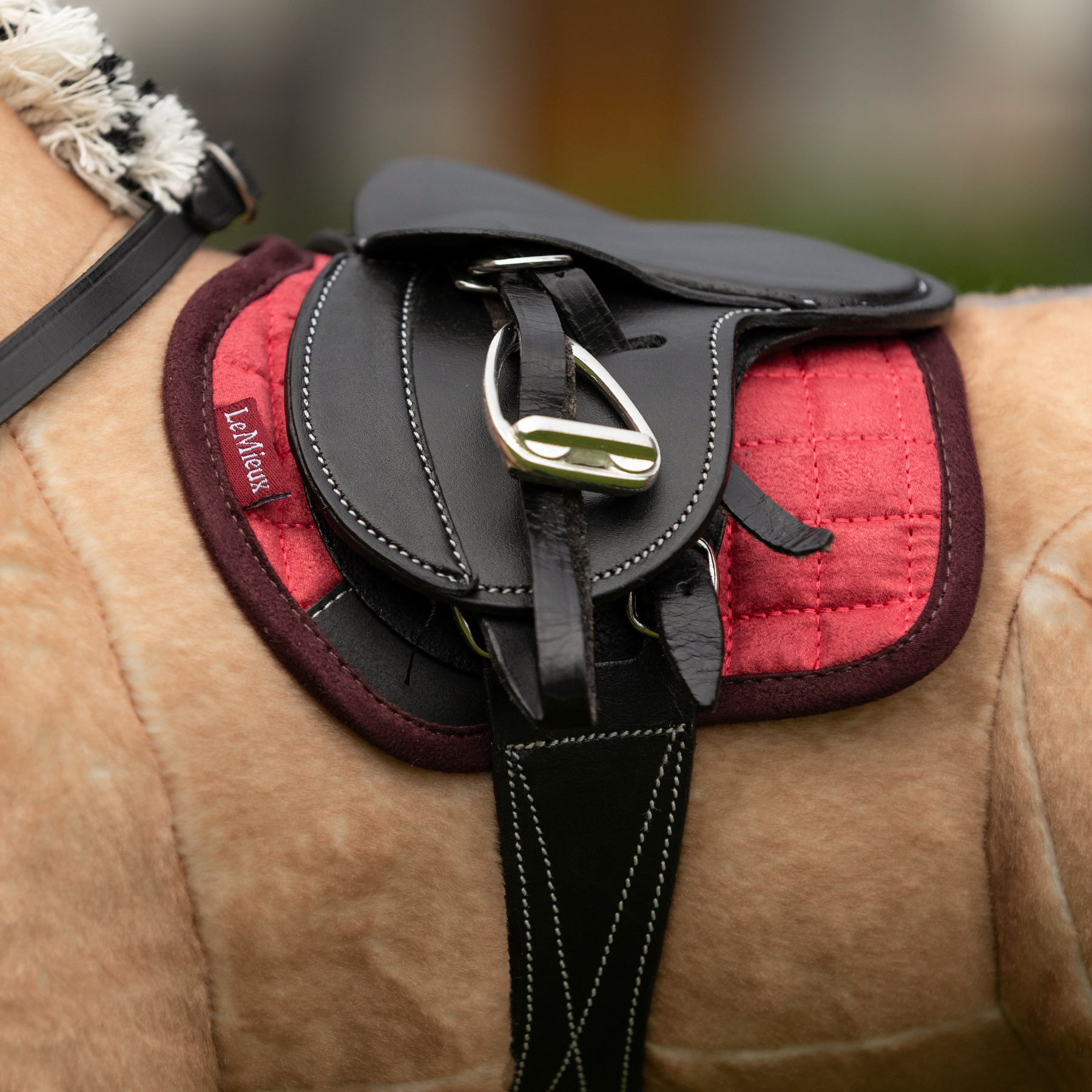 LeMieux Toy Pony Pad, Cranberry