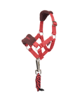 LeMieux Toy Pony Vogue Head Collar & Lead Rope, Cranberry