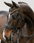 Lumiere Equestrian ARIANA Anatomic Premium Leather Double Bridle, Black with Reins