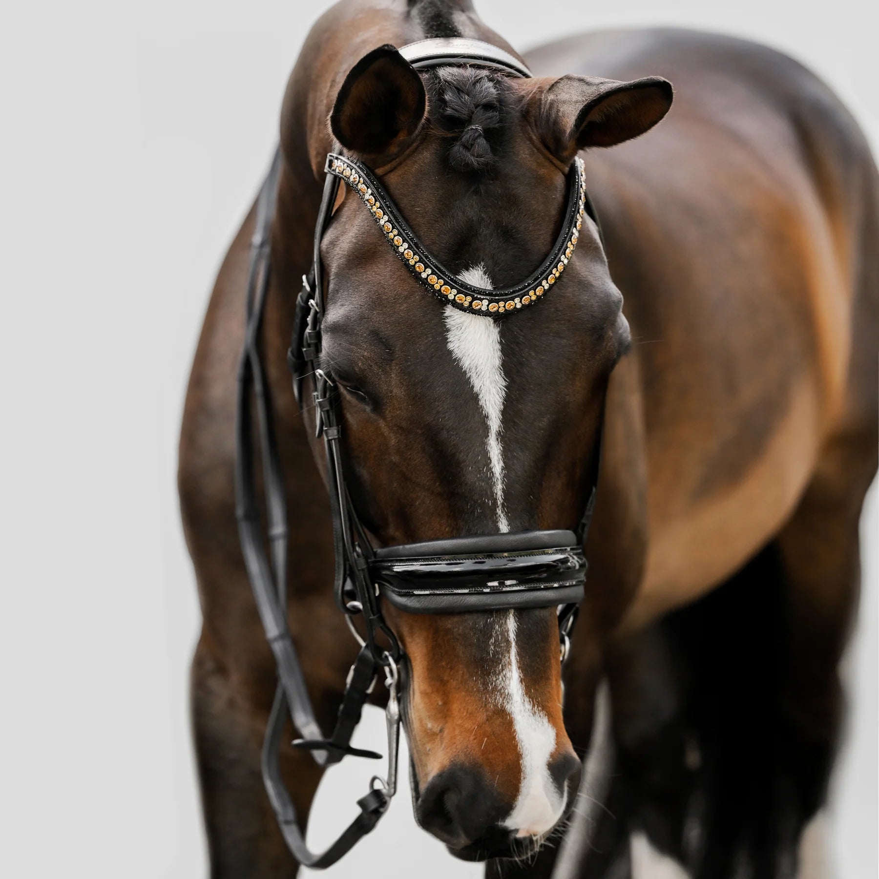 Lumiere Equestrian ARIANA Anatomic Premium Leather Double Bridle, Black with Reins