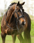 Lumiere Equestrian ARIANA Anatomic Premium Leather Double Bridle, Black with Reins