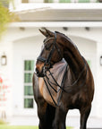 Lumiere Equestrian ARIANA Anatomic Premium Leather Double Bridle, Black with Reins