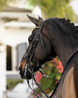 Lumiere Equestrian ARIANA Anatomic Premium Leather Double Bridle, Black with Reins