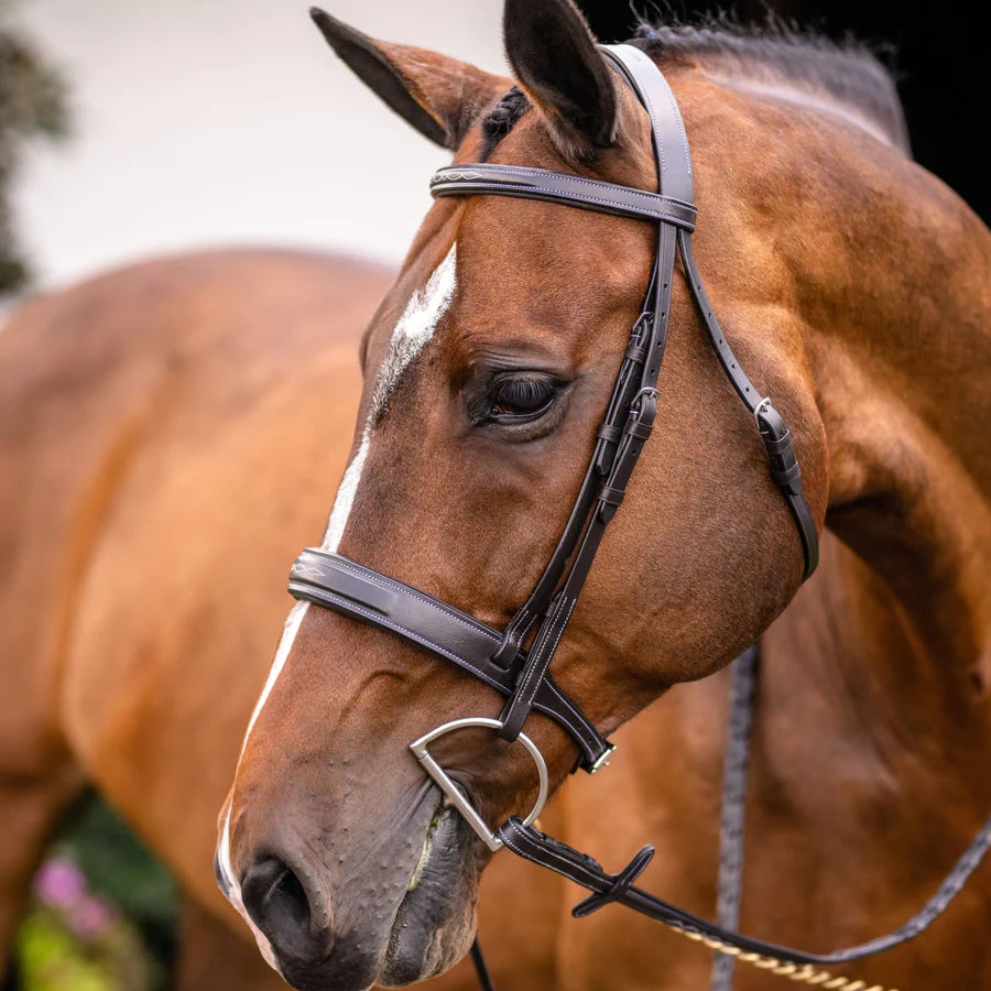 Lumiere Equestrian CLASSIC Hunter Bridle, Brown with Reins