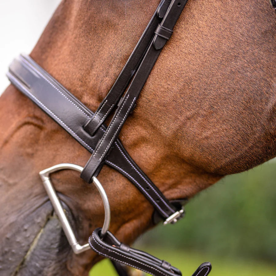Lumiere Equestrian CLASSIC Hunter Bridle, Brown with Reins
