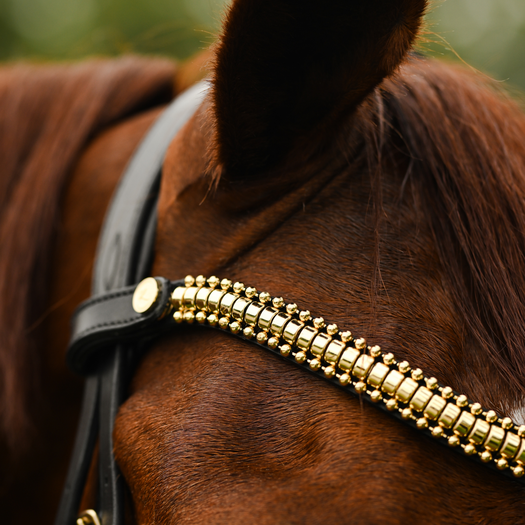 Lumiere Equestrian Delta Browband, Black/Gold