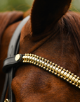 Lumiere Equestrian Delta Browband, Black/Gold