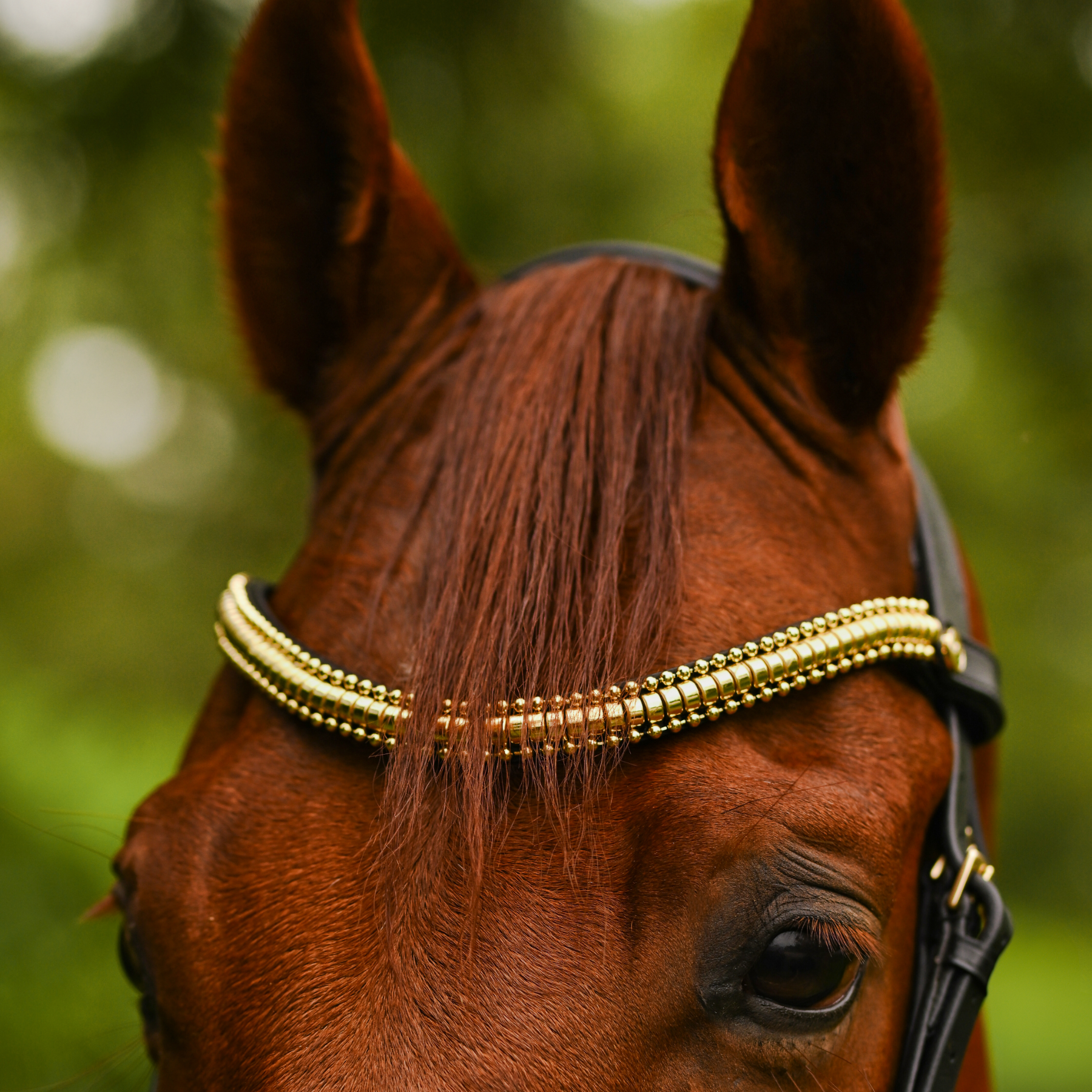 Lumiere Equestrian Delta Browband, Black/Gold