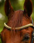 Lumiere Equestrian Delta Browband, Black/Gold