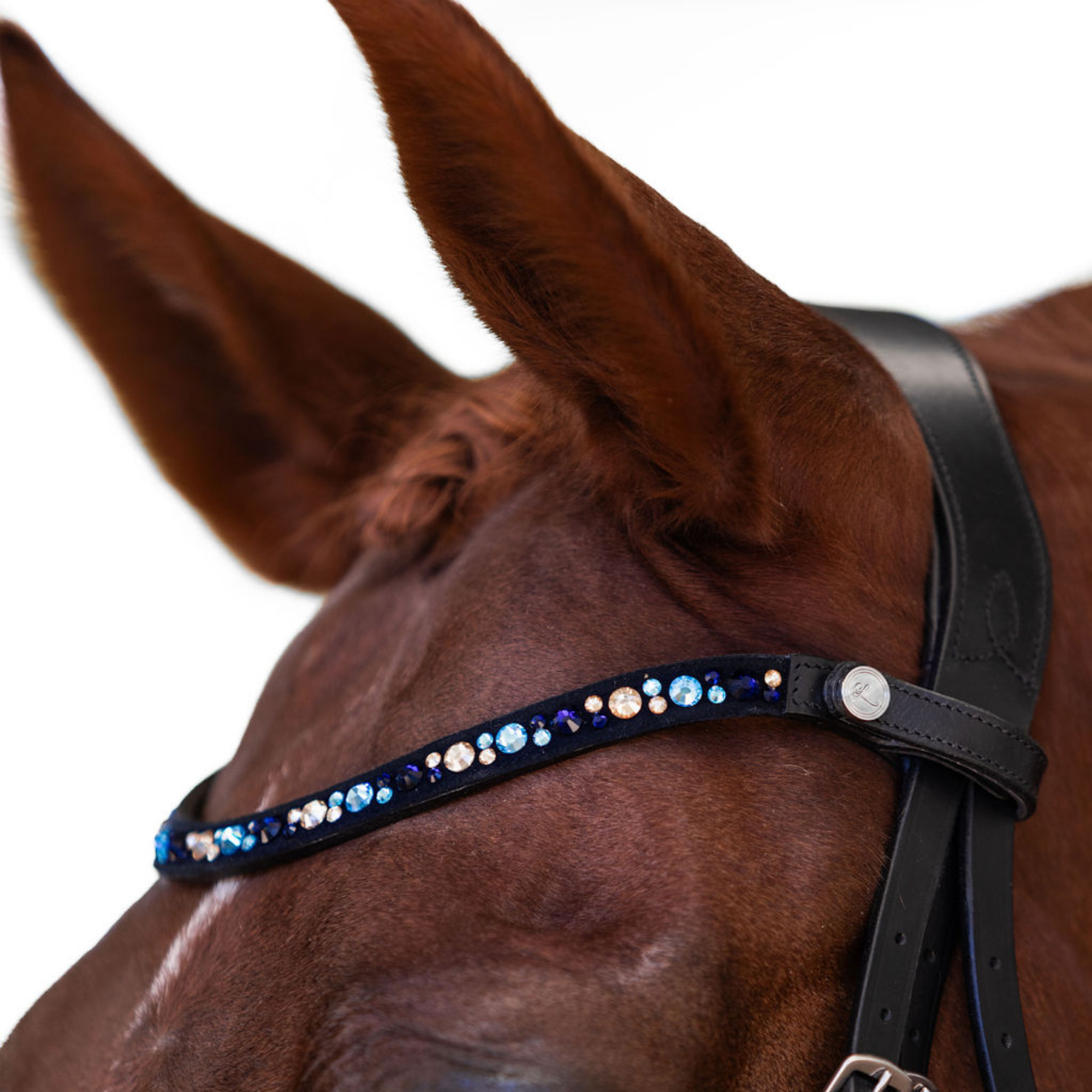 Lumiere Equestrian Demi Browband, Black