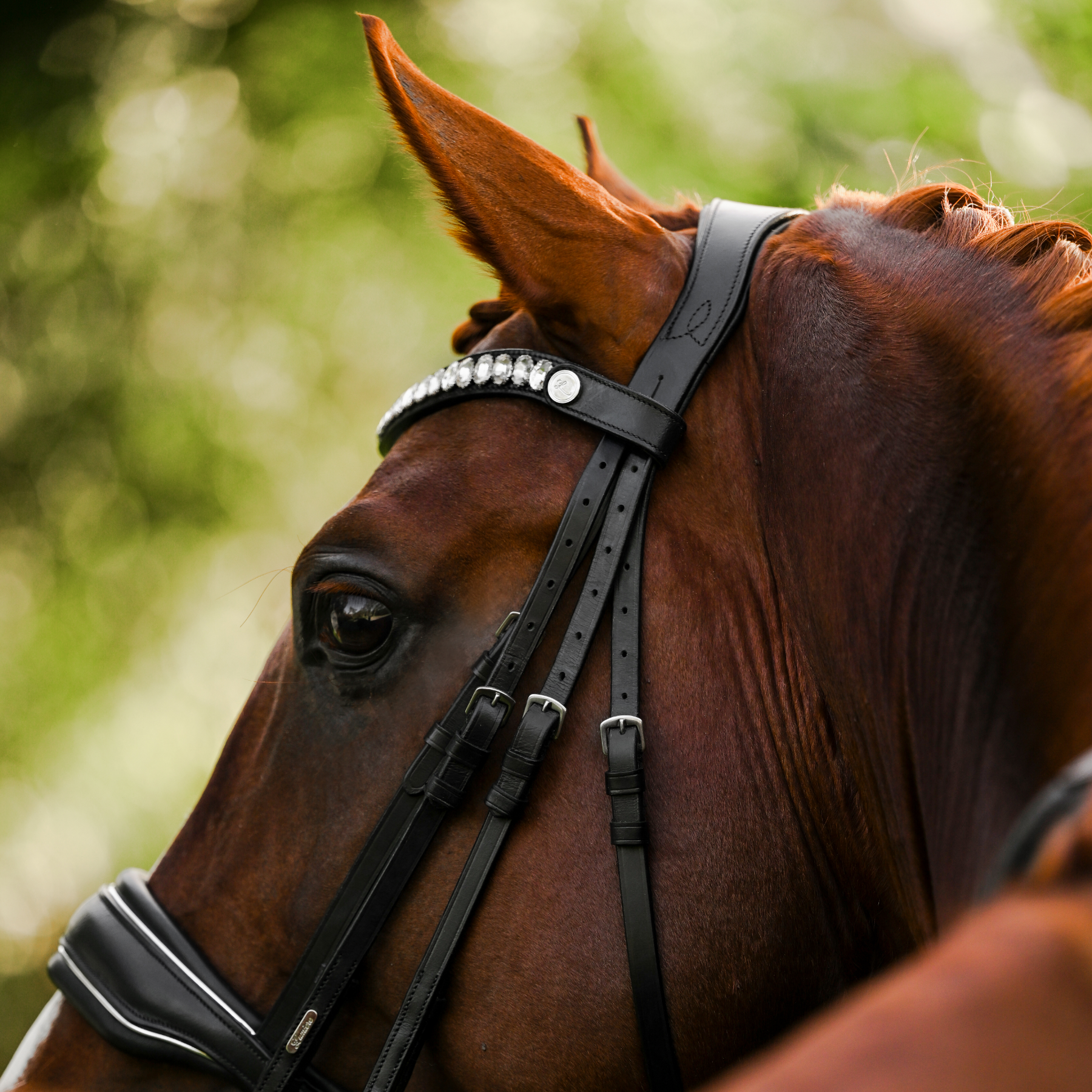 Lumiere Equestrian Diva Browband, Black