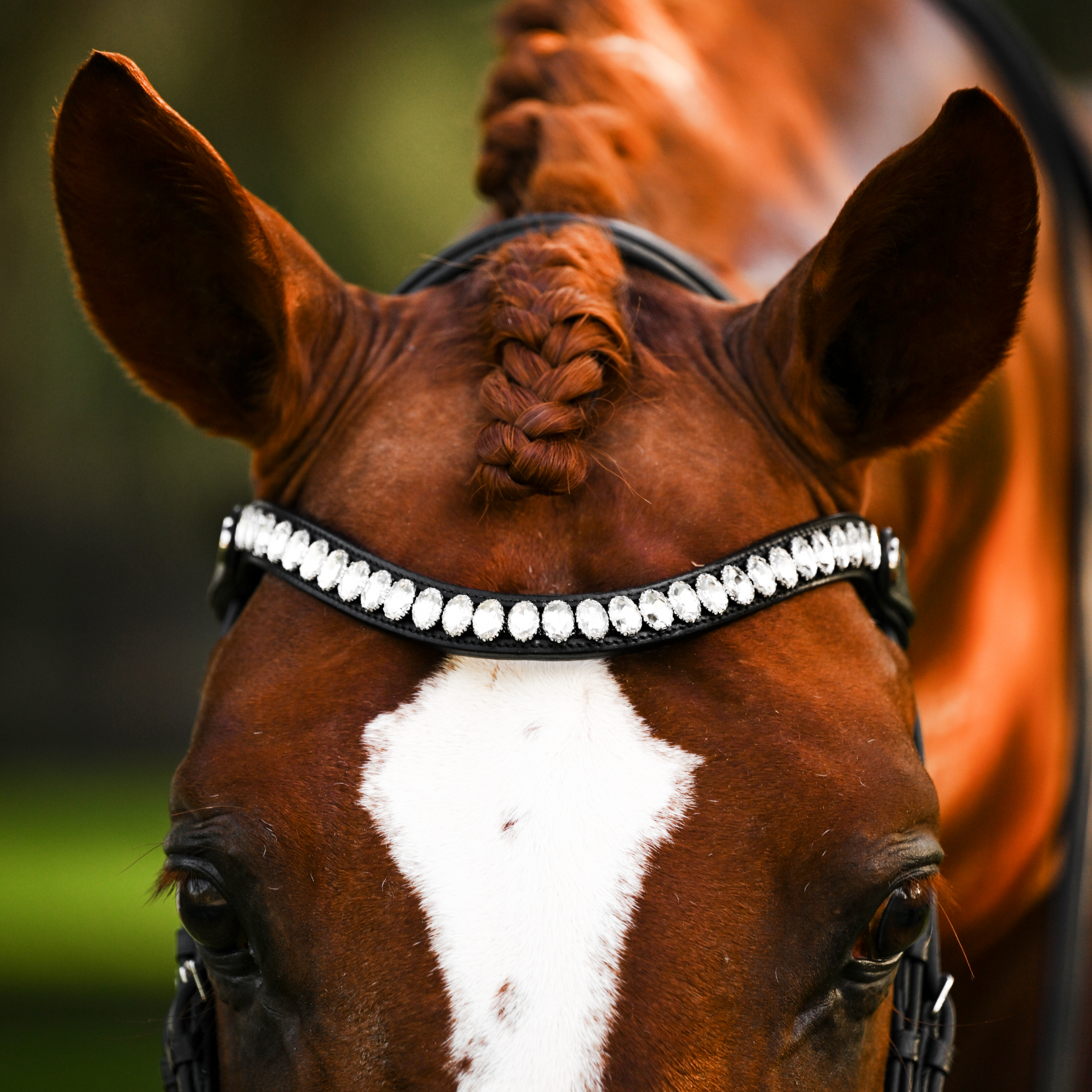 Lumiere Equestrian Diva Browband, Black