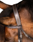 Lumiere Equestrian NOUVELLE Hunter Bridle, Dark Brown with Reins