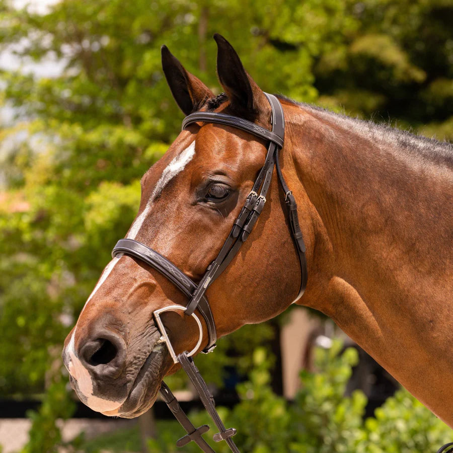 Lumiere Equestrian NOUVELLE Hunter Bridle, Dark Brown with Reins