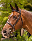 Lumiere Equestrian NOUVELLE Hunter Bridle, Dark Brown with Reins