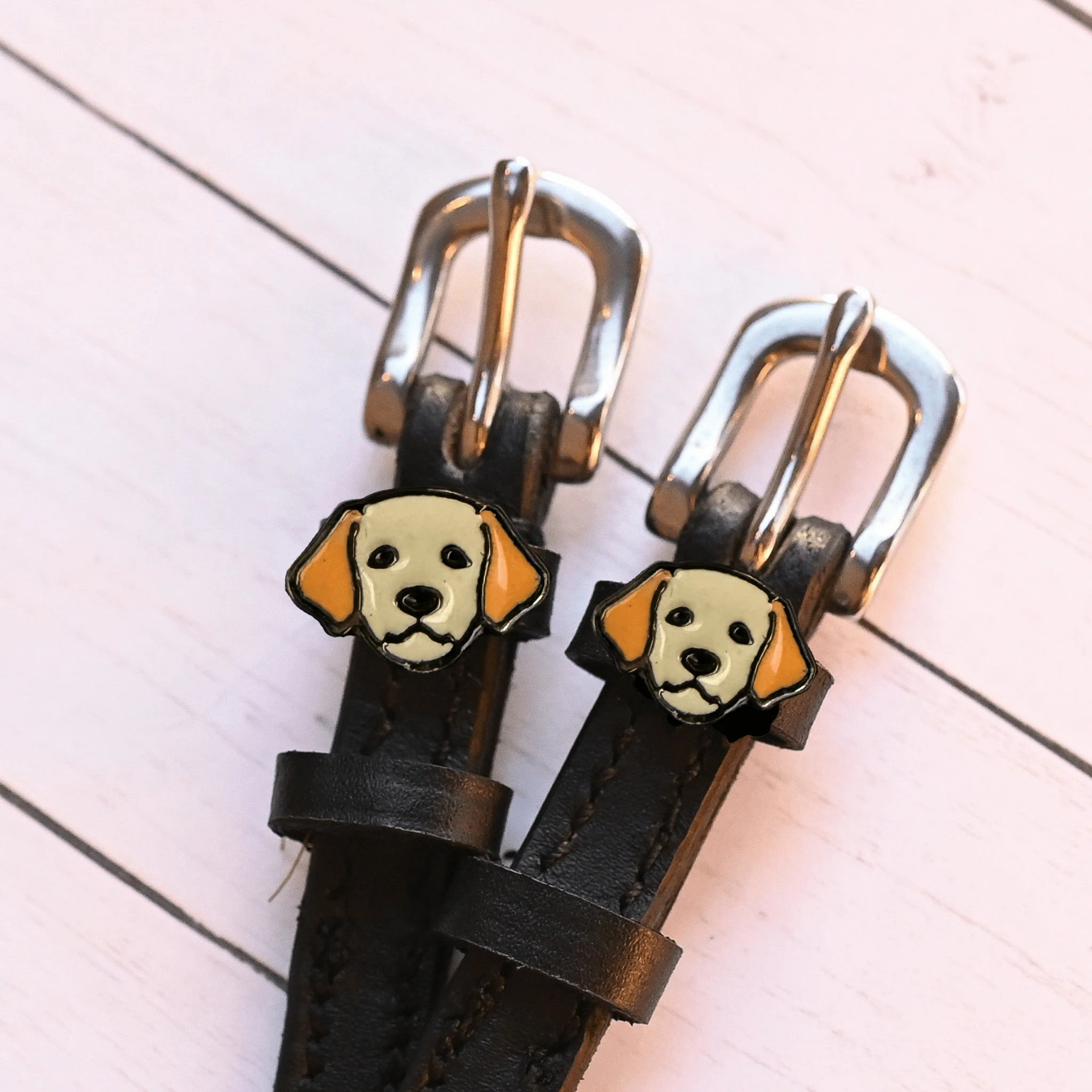 ManeJane Dog Golden Retriever Spur Straps