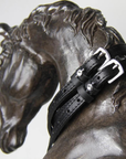 ManeJane Single Clear Stone Spur Straps