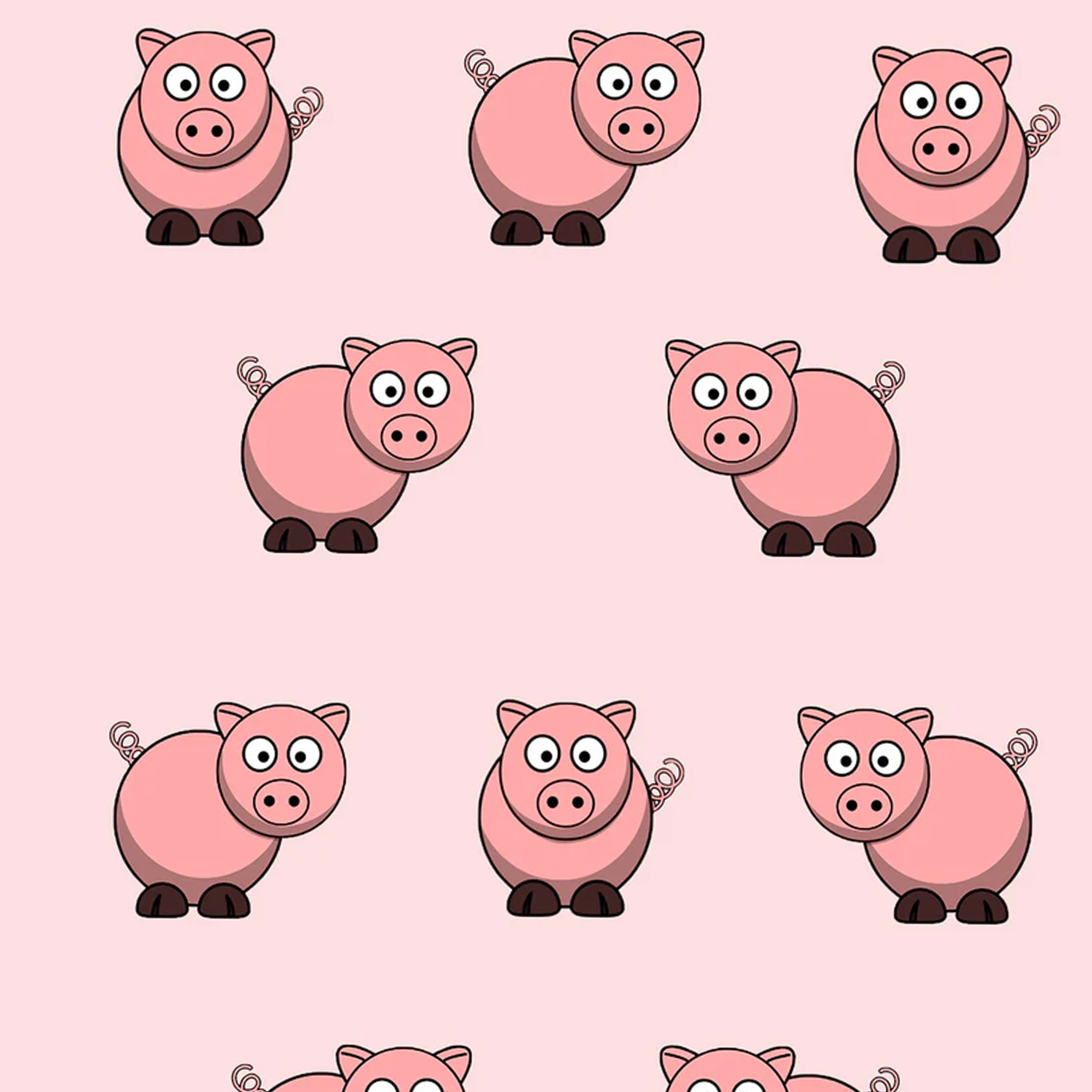 Hocsocx Little Piggy ShowSocx