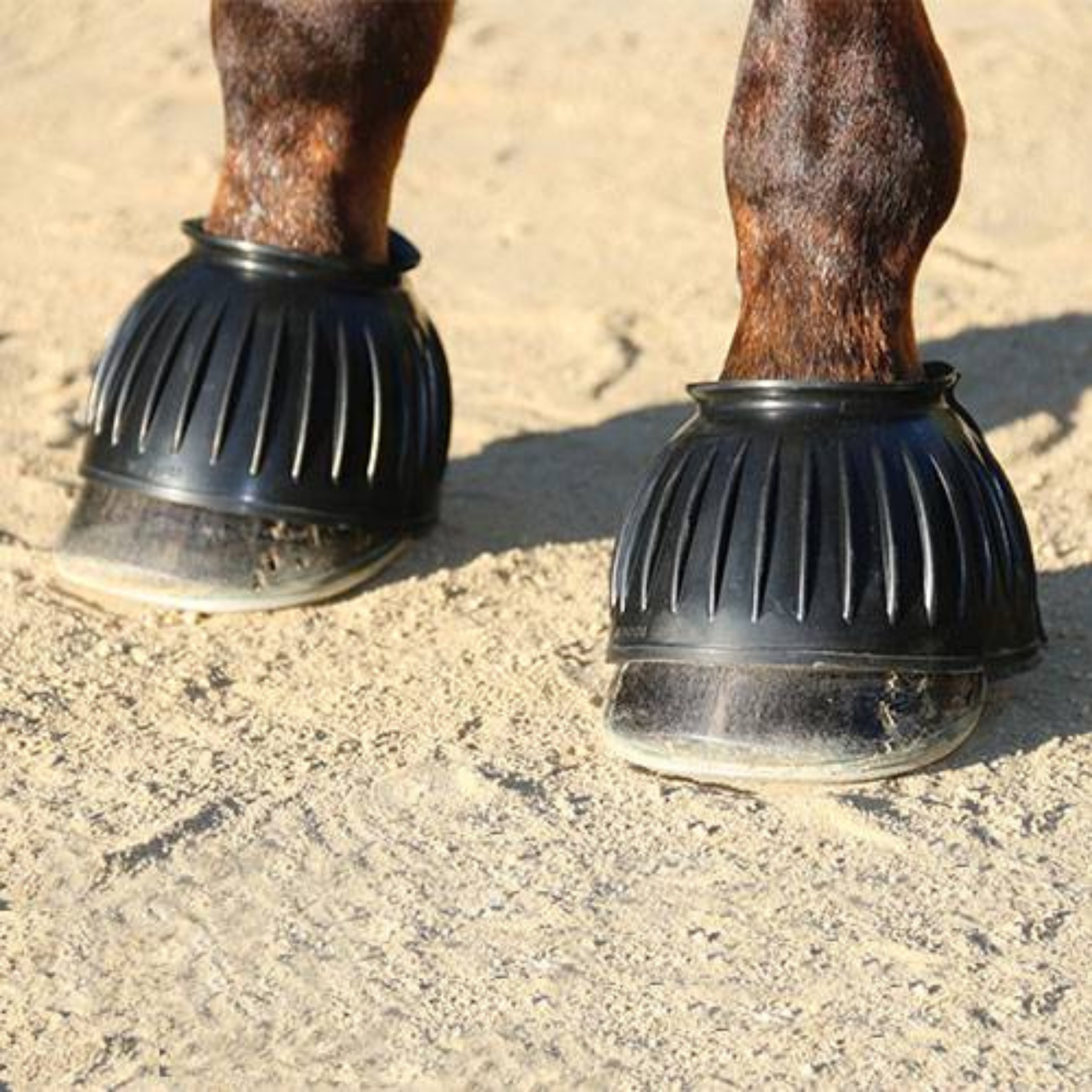Professional's Choice Rubber Bell Boots, Black