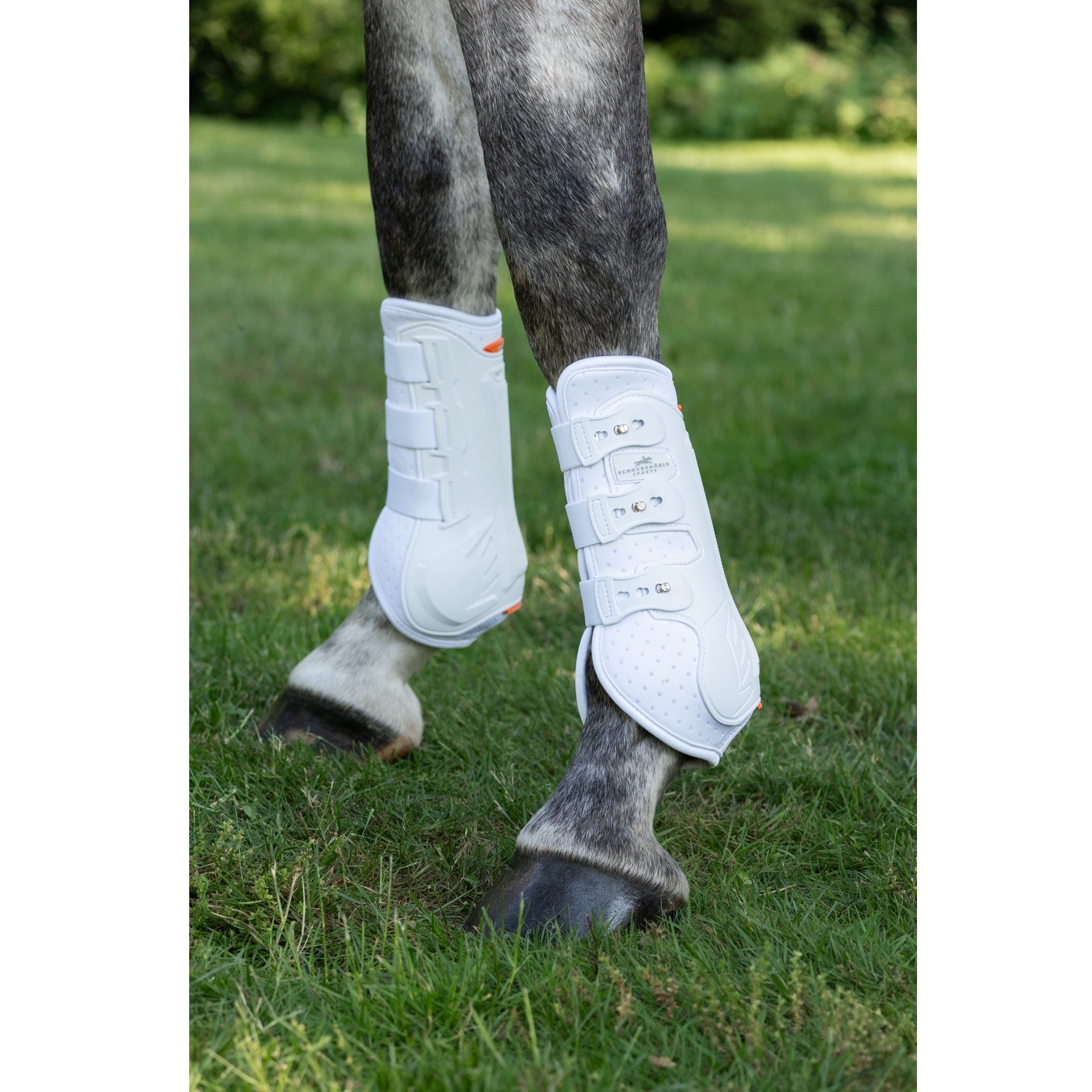 Schockemohle Air Flow Dressage Hind Boots, White