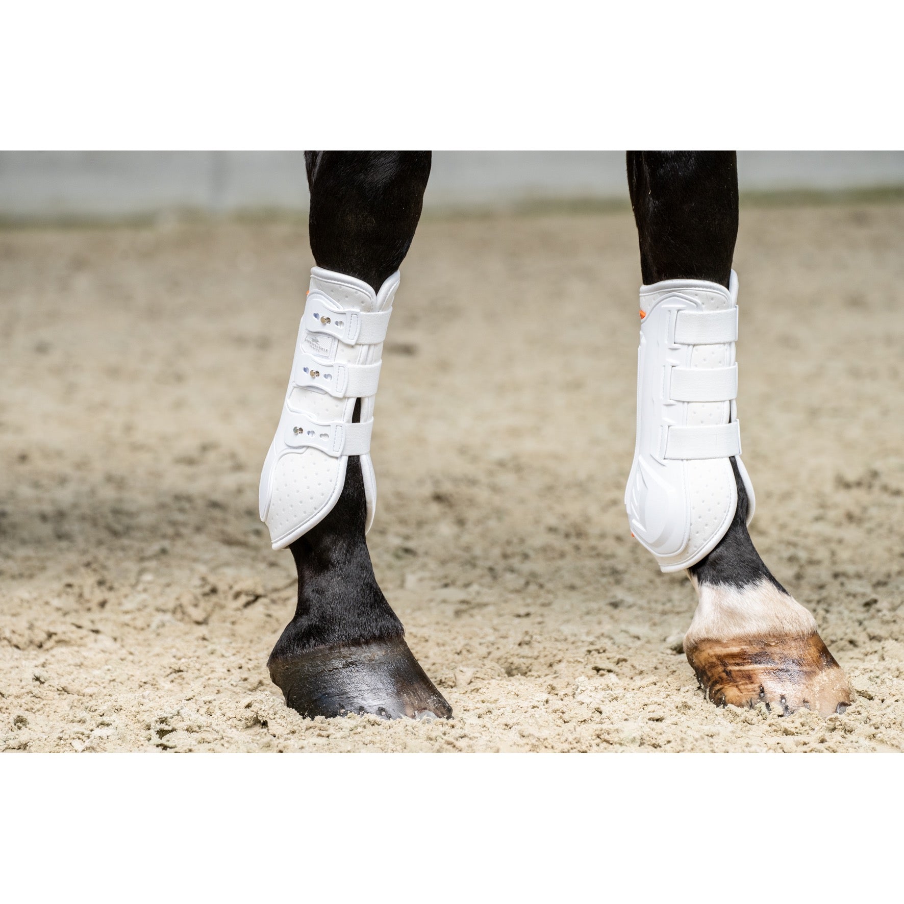 Schockemohle Air Flow Dressage Front Boots, White